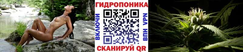 МЕФ Баксан