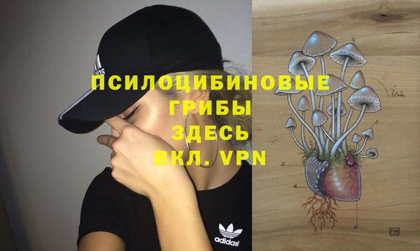 прущая мука Арсеньев