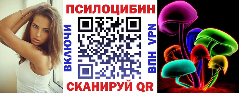 Псилоцибиновые грибы Psilocybe  Баксан 